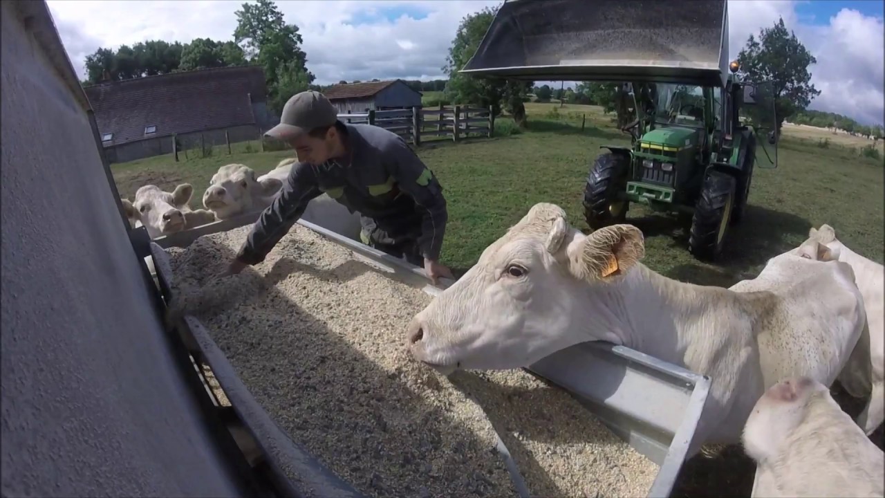 [GoPro] Remplissage des nourrisseurs/John Deere 6115r & 6410.