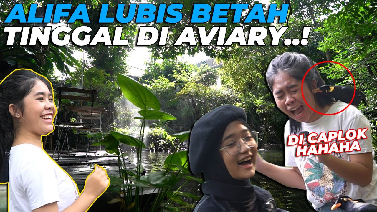 PERTAMA KALI ALIFA LUBIS KE AVIARY..! LANGSUNG DI SERBU SAMA BURUNG2 CANTIK..!