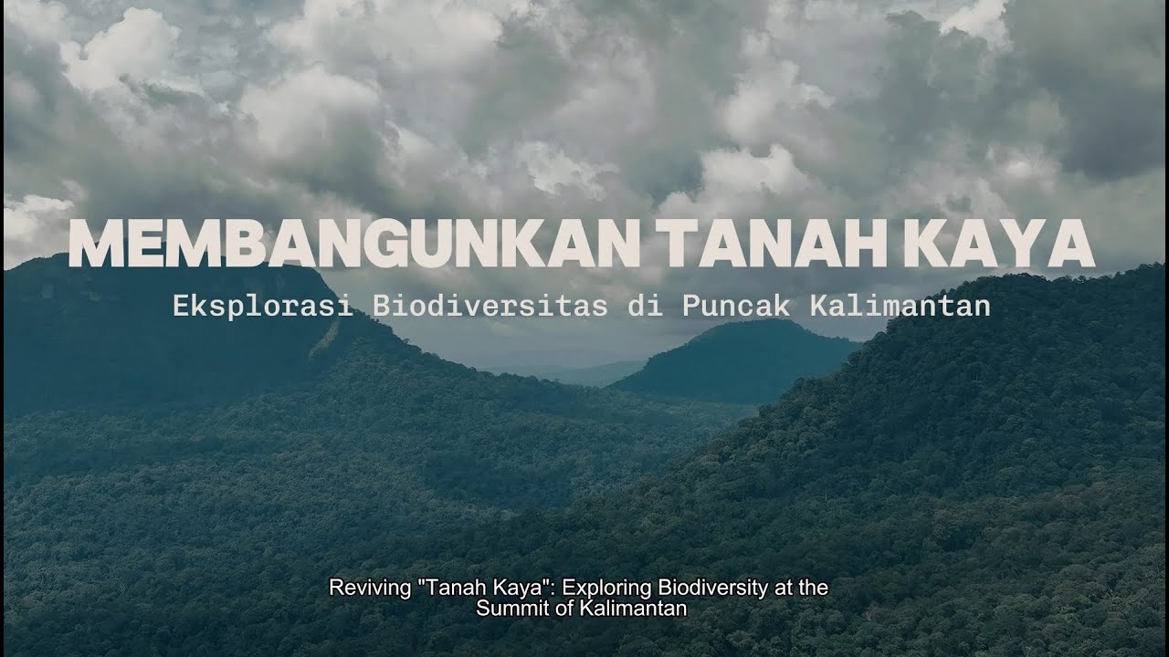 MEMBANGUNKAN TANAH KAYA | Eksplorasi Biodiversitas di Puncak Kalimantan