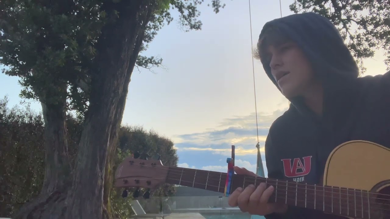 Dandelions cover in my backyard :)