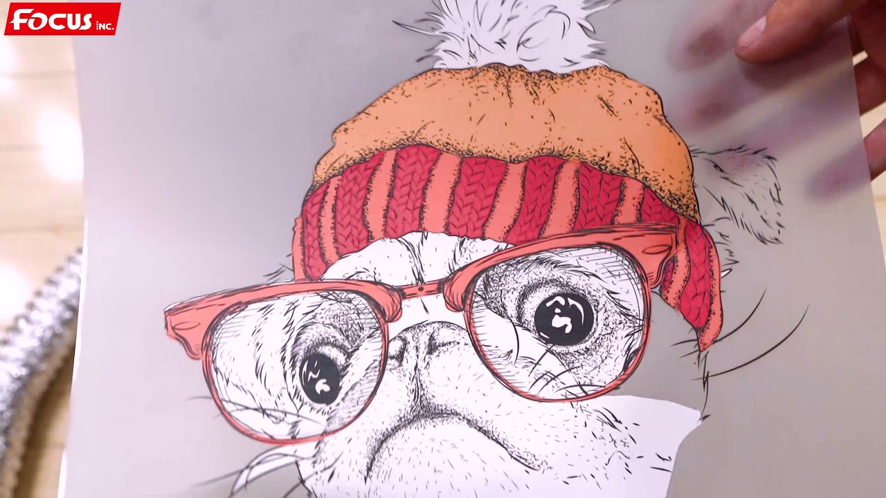 DTF#DTF printing Direct To Film DTF printing process PET film printing