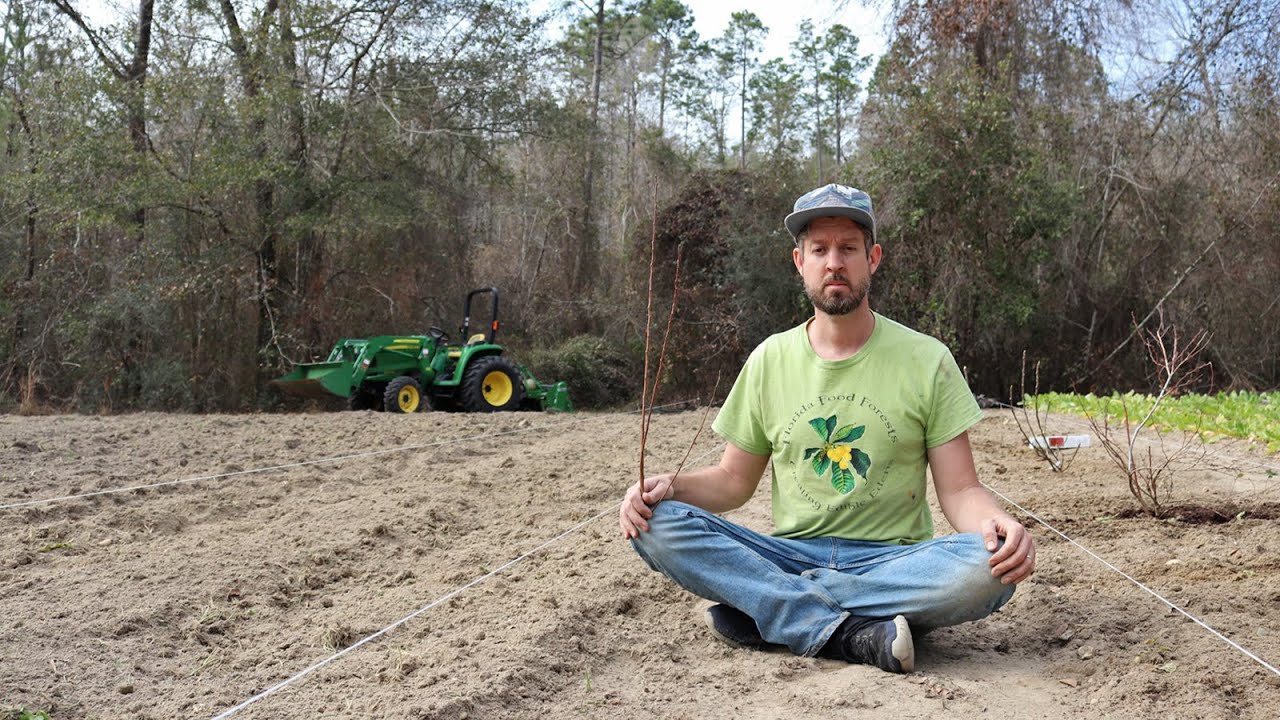The N.O.G.R.A.S.S. Grocery Row Garden Begins!
