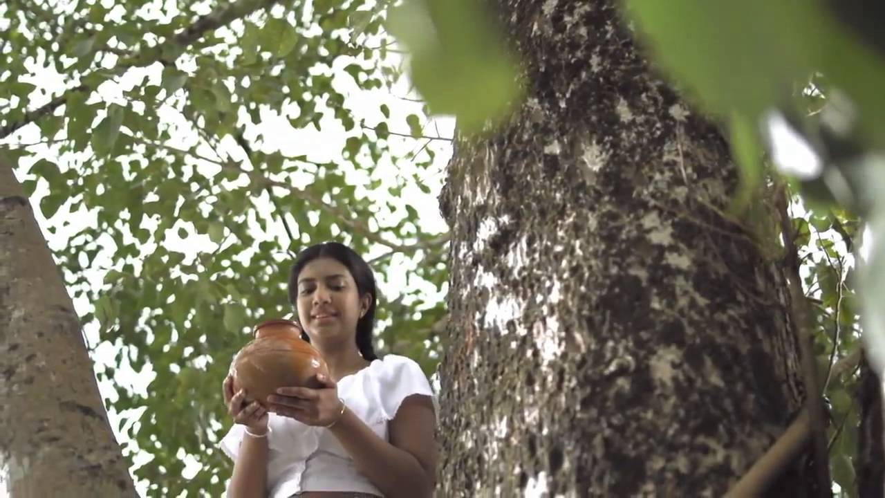 Sampath Bank Poya Day Commercial