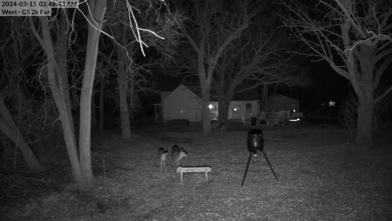 Deer Camera from 3:36:45am  3/15 2024 to 4:52:27am