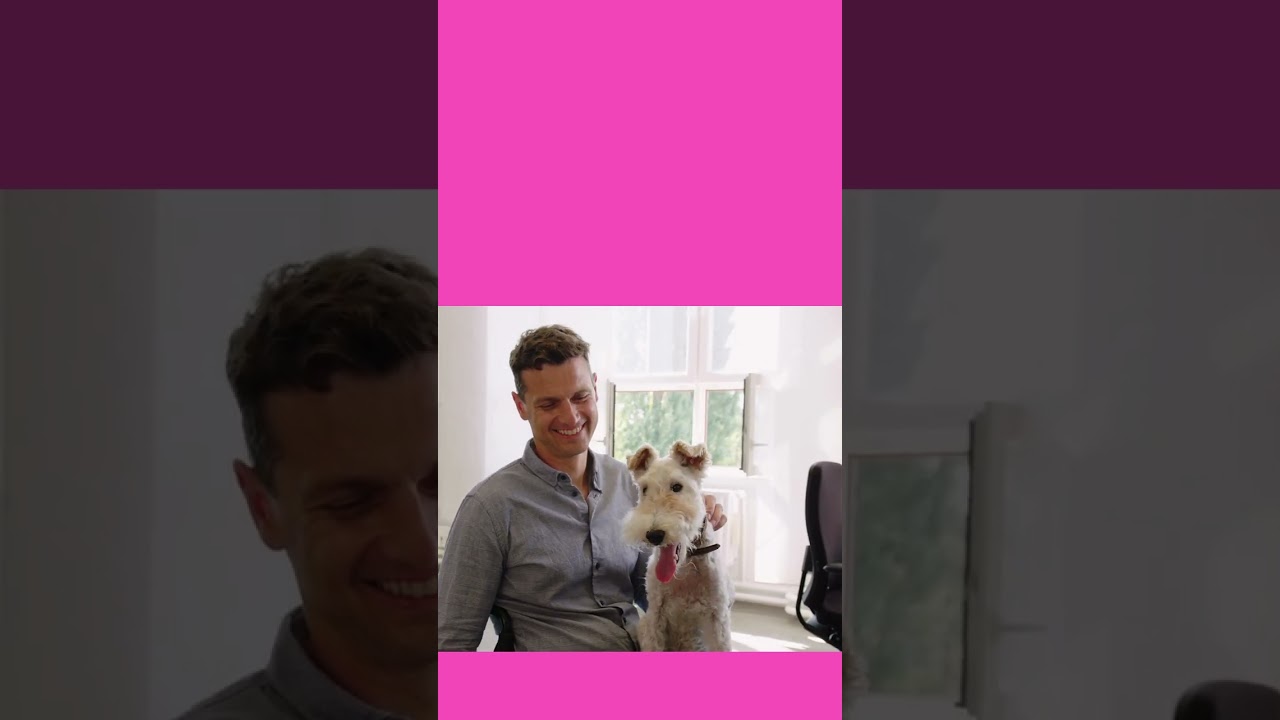 invites decrease bites and pet pet pause by Leah Nettle of Pet Professor. .petprofessor.net