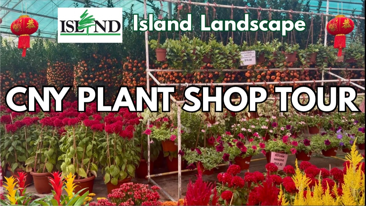 🪴Island Landscape Nursery Plant Shop Tour | Festive Plants for Chinese New Year | Plant Shopping