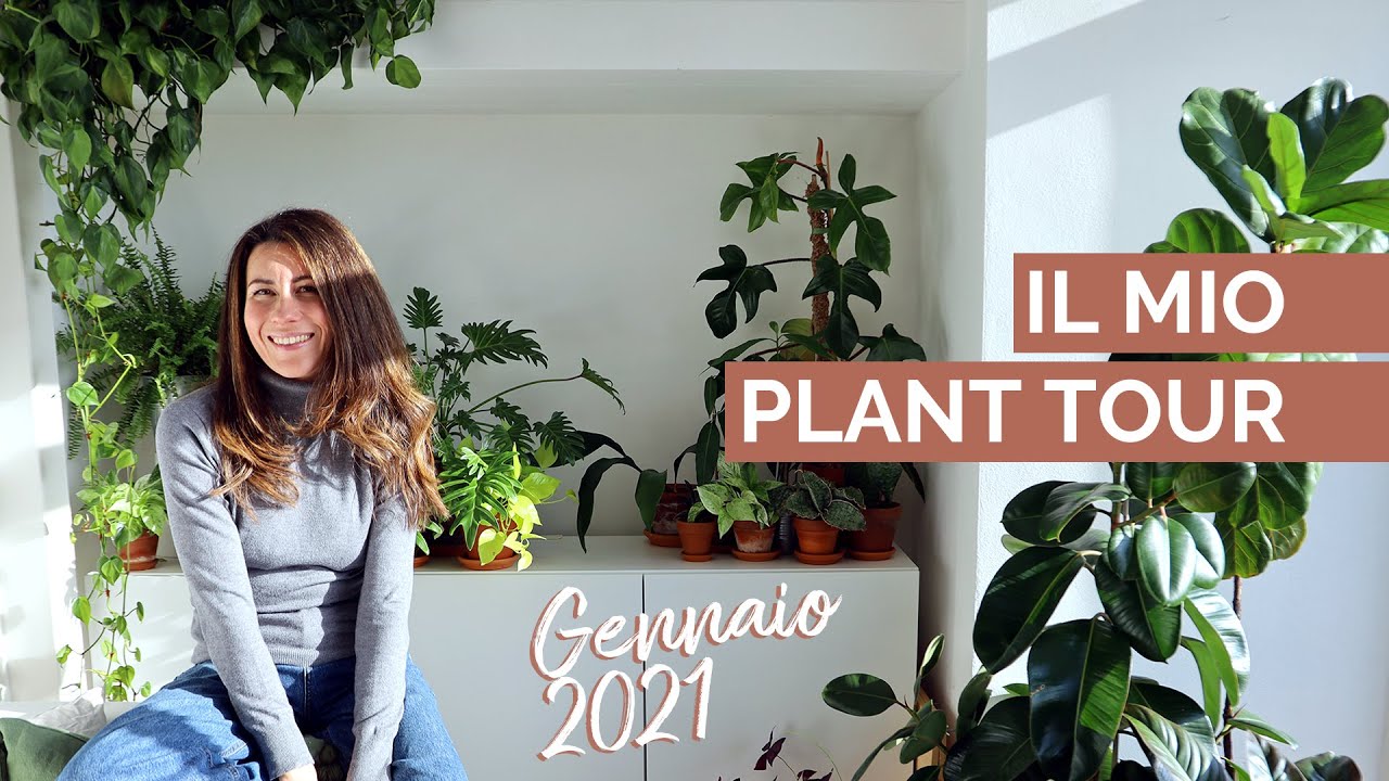 Il mio PLANT TOUR - Gioie e Dolori del 2020