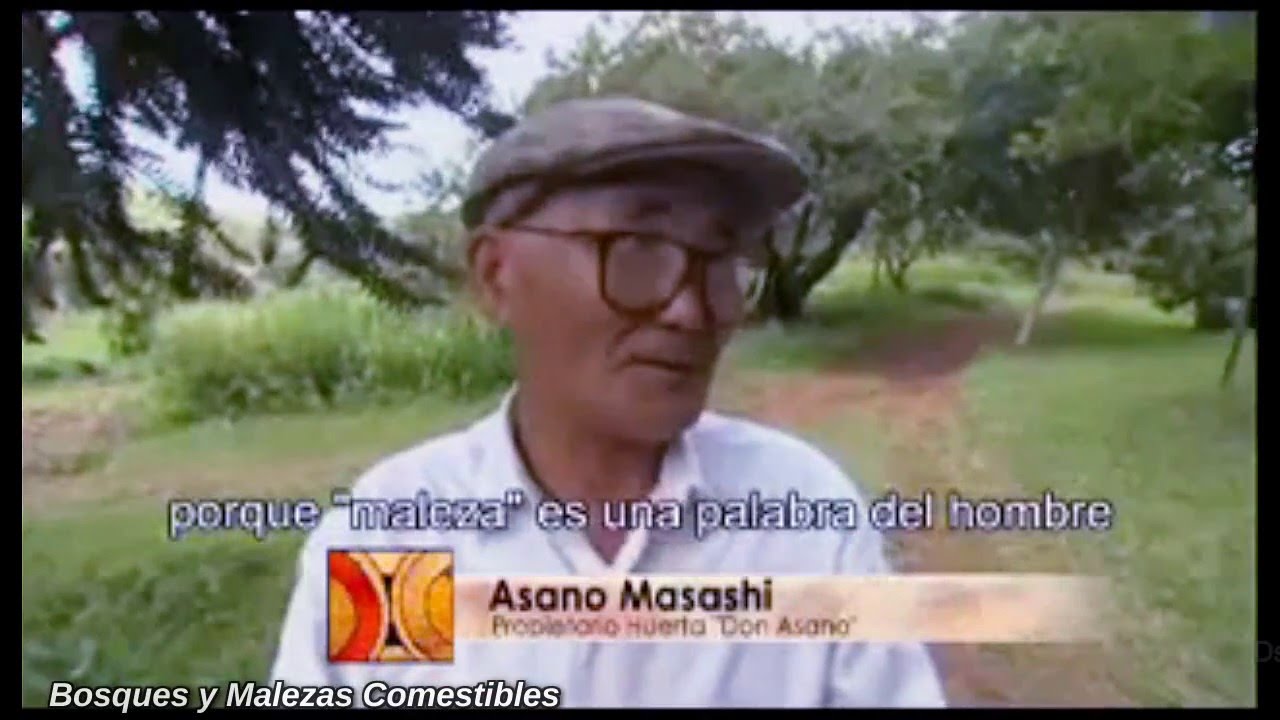 Bosques y Malezas Comestibles - Alimentos Naturales
