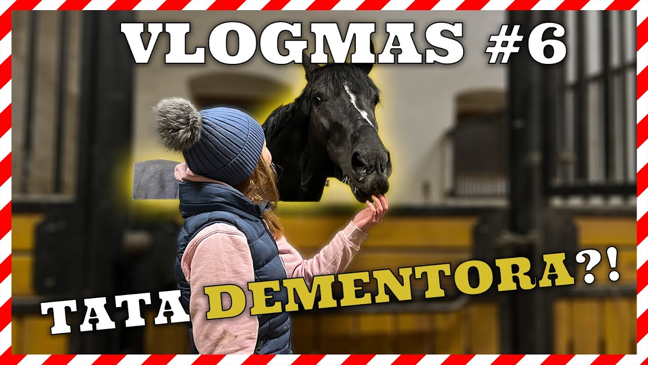 VLOGMAS #6 | ODWIEDZIŁAM TATĘ ŹREBACZKA 🤩 + trening skokowy