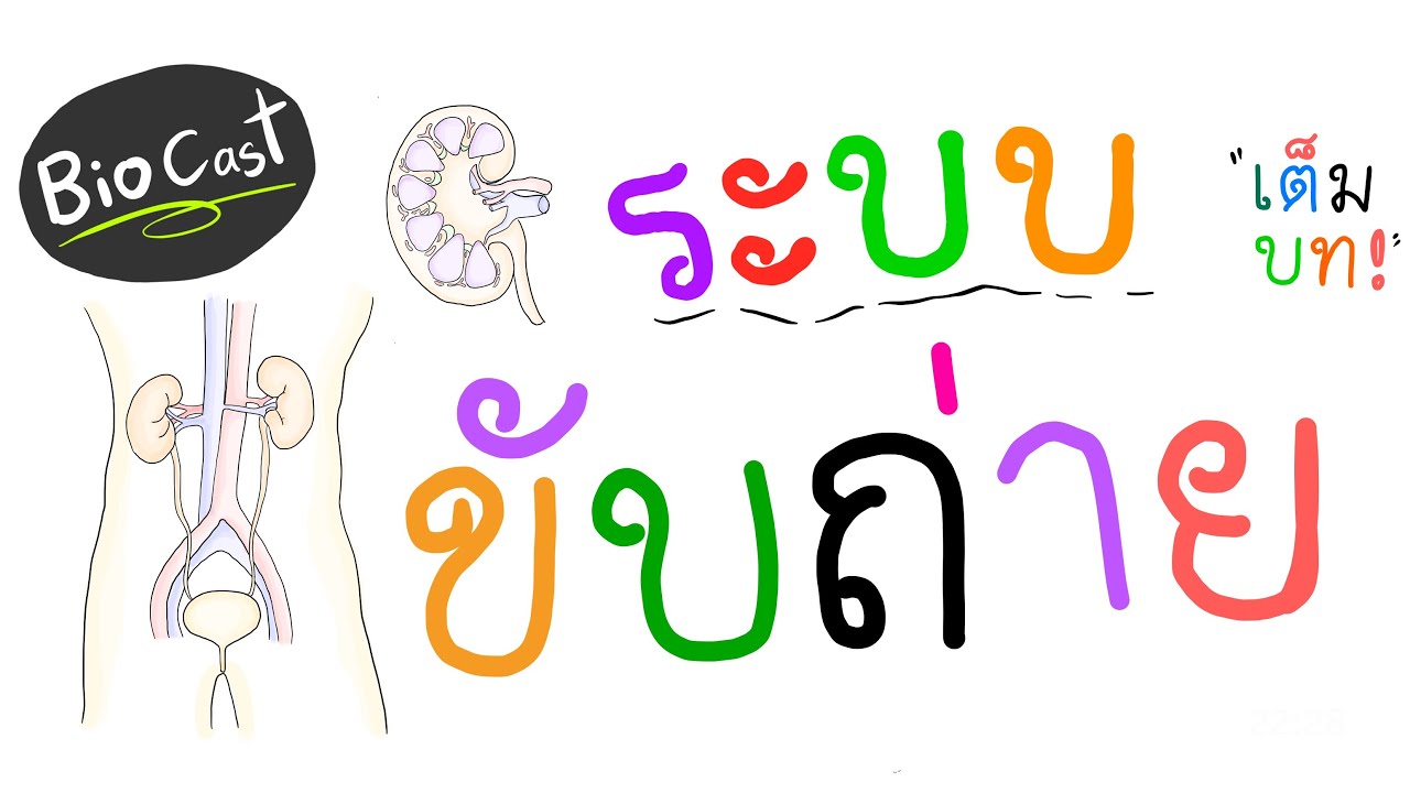 BioCast ep.6 ระบบขับถ่าย (เต็มบท)
