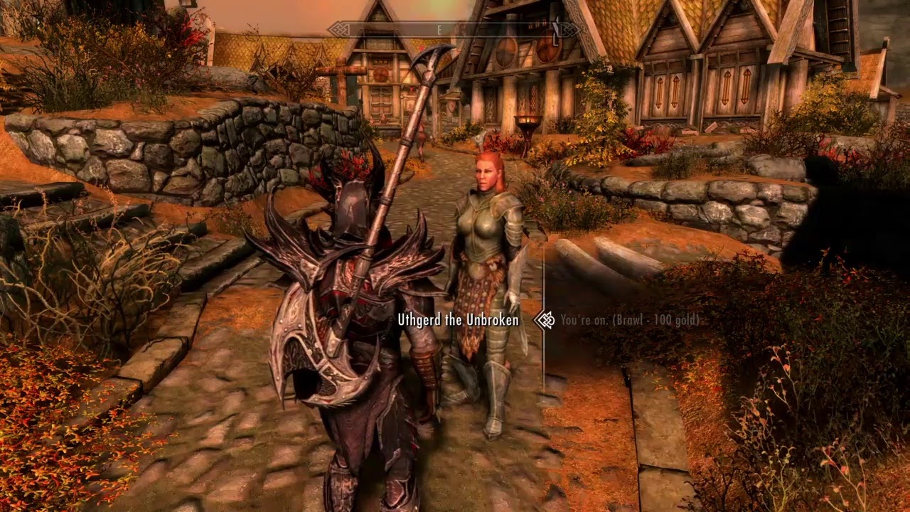 Trouble in Skyrim {Companion Mission}