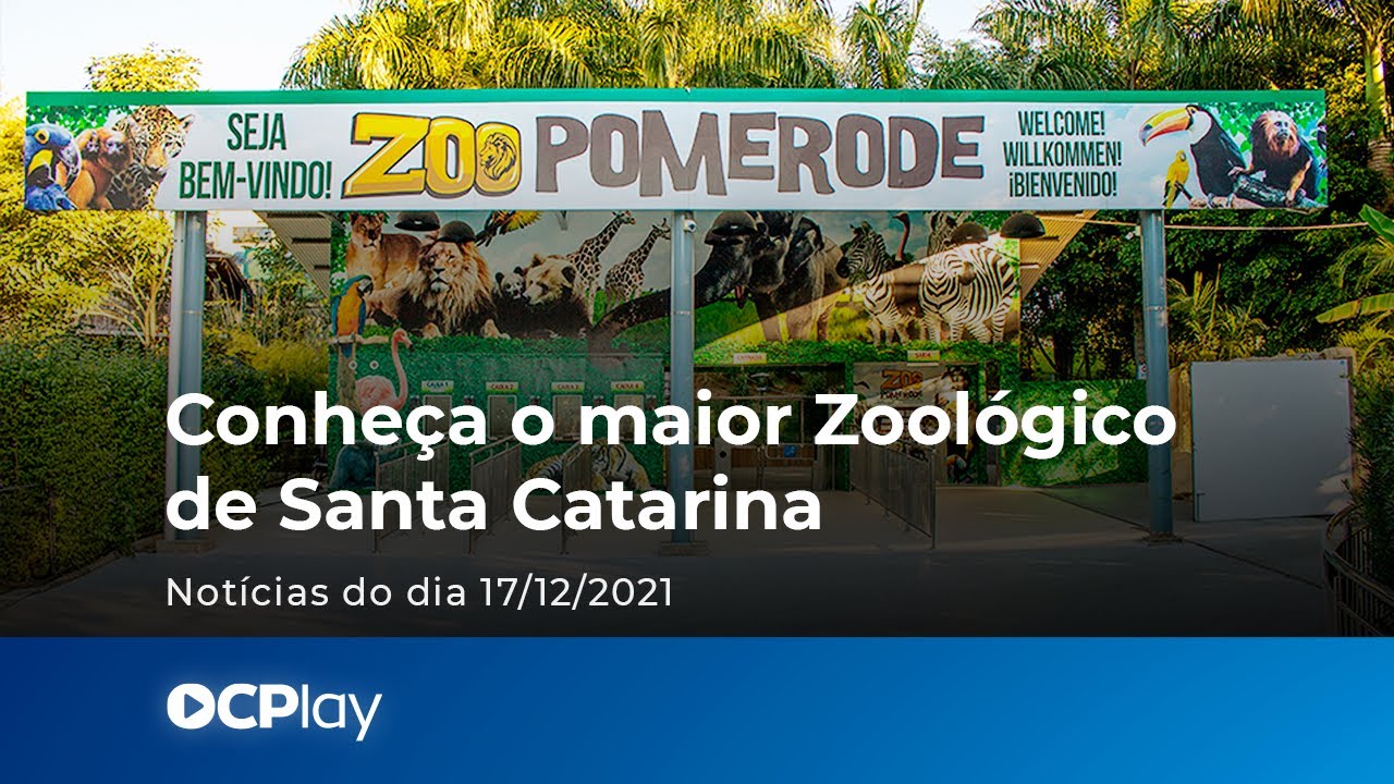 Conheça o maior Zoológico de Santa Catarina