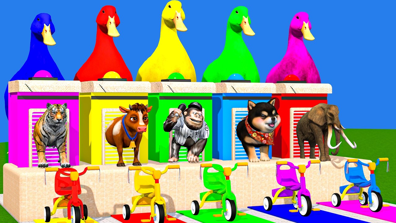 Long Slide Game With Cow Elephant Gorilla Hippopotamus Tiger 3d Animal Game Funny 3d Animals
