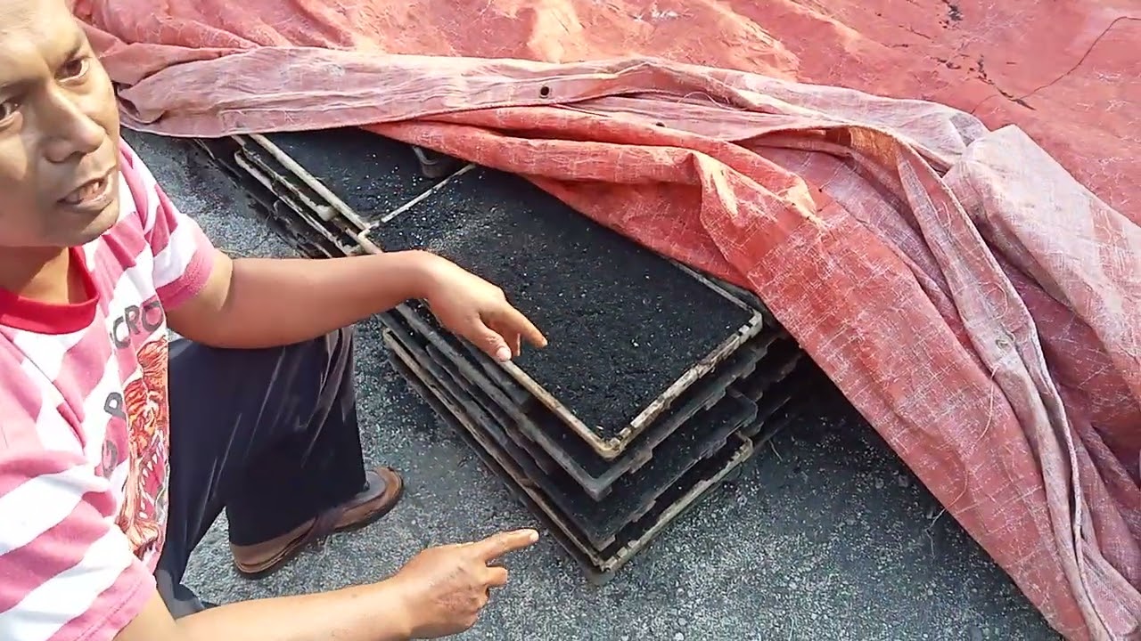 cara persemaian benih padi dapok pakai tray
