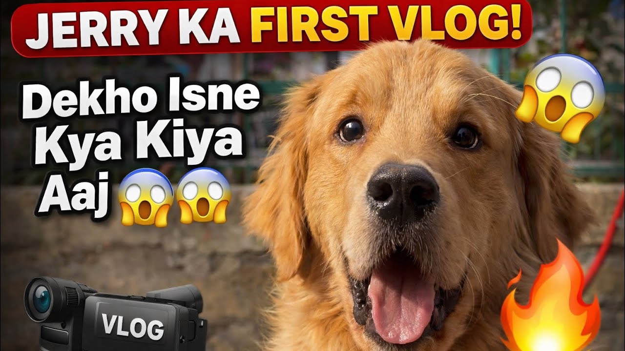 Pehle hi din pehle hi vlog me machaya aatank 😱😱😱