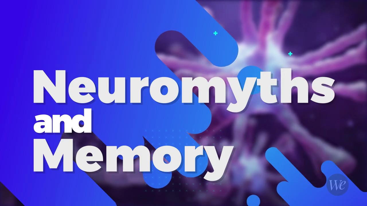 Neuromyths and Memory: How We Memorize Information