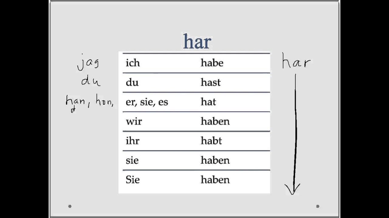 Är och har på tyska, sein och haben