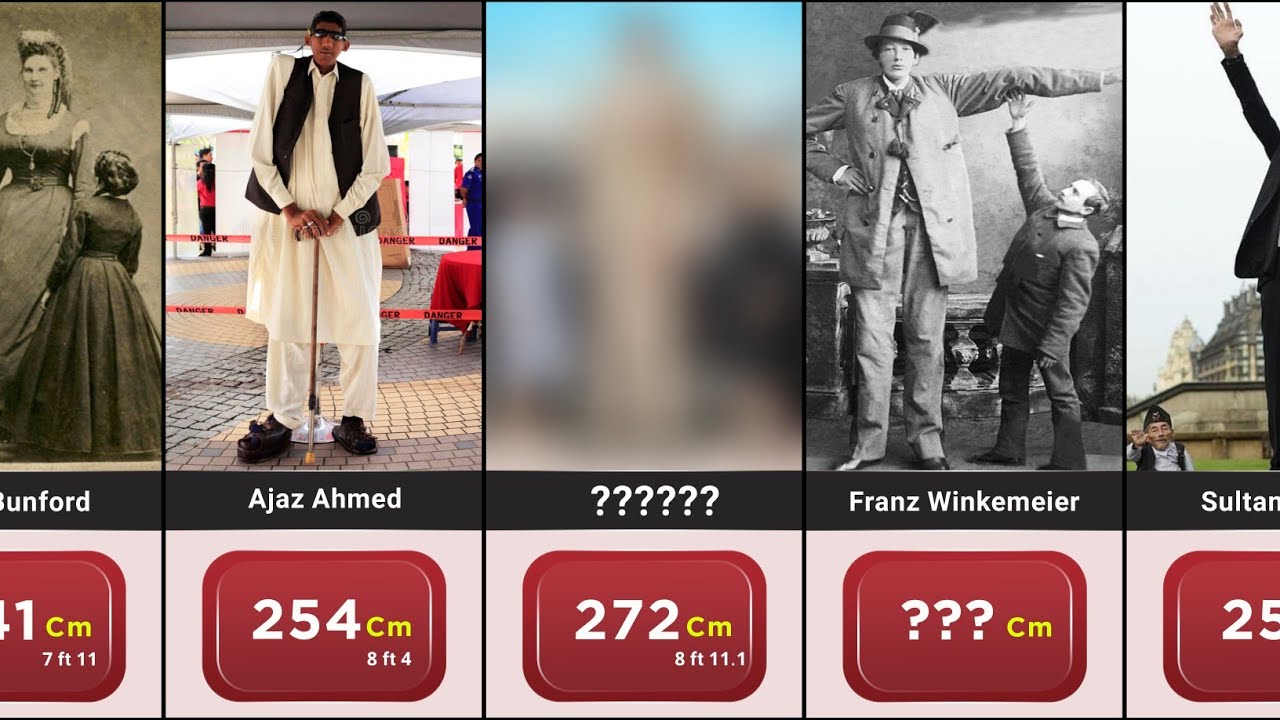 COMPARISON: Tallest people in the WORLD | The Tallest People of all Time