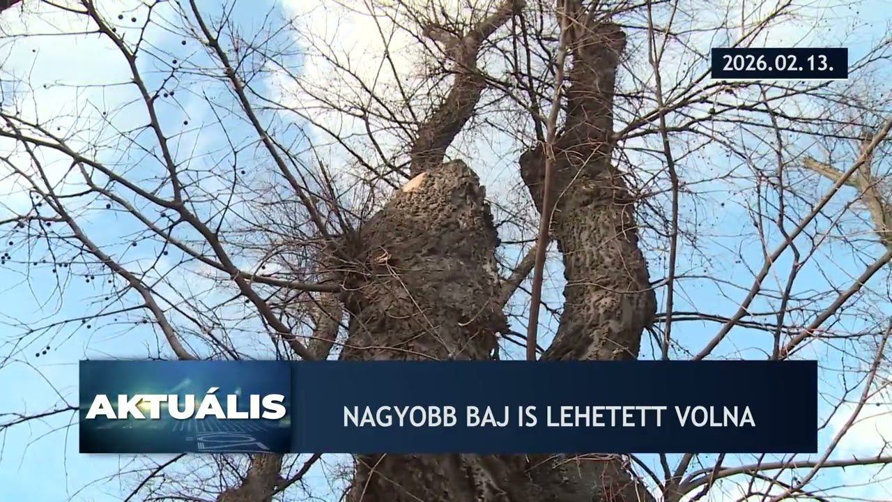 Aktuális – 2026.02.13.