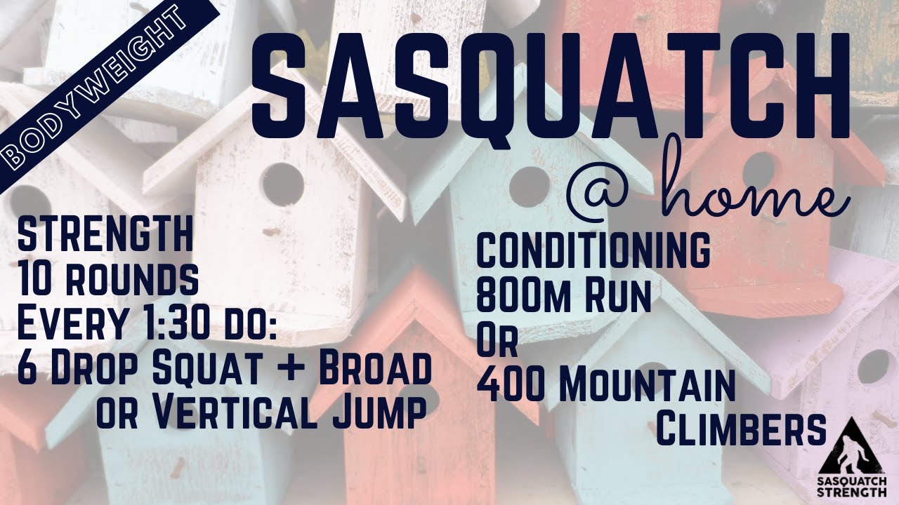 5-27-20 At Home Bodyweight Workout
