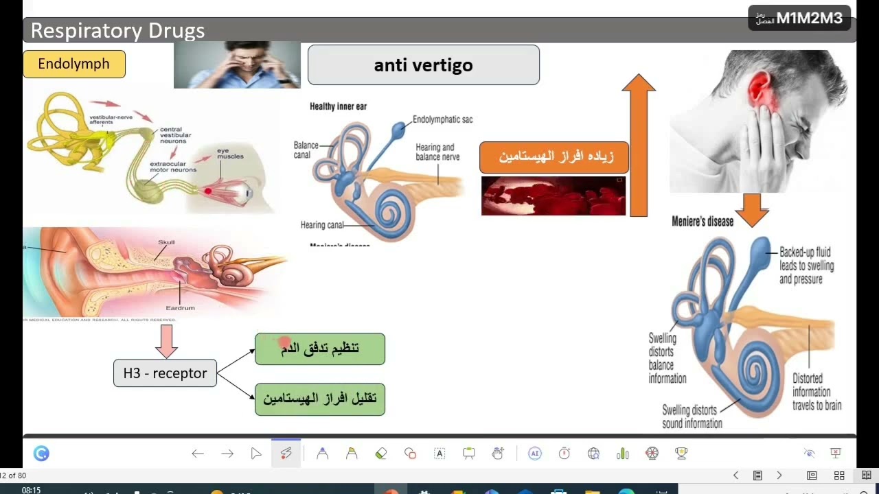 مضادات الهستامين (الجزء 4) | كيف تعمل وتأثيرها على الجسم