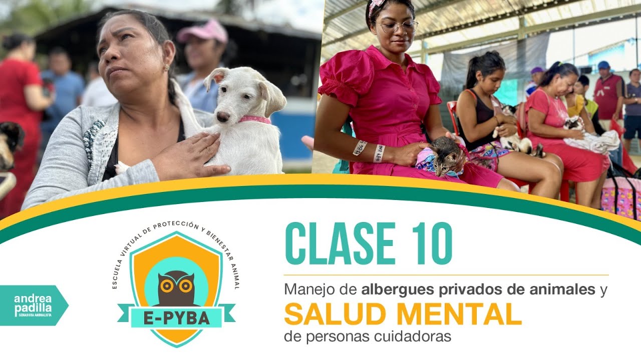 Clase 10 E-Pyba: manejo de albergues privados de animales y salud mental de personas cuidadoras