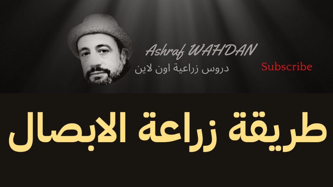 اسرع طريقة لانبات ابصال الازهار
