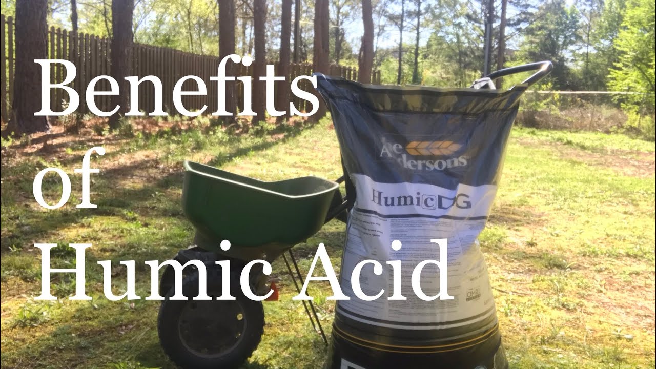 Many Benefits of HUMIC ACID on lawn | IMPROVE LAWN SOIL