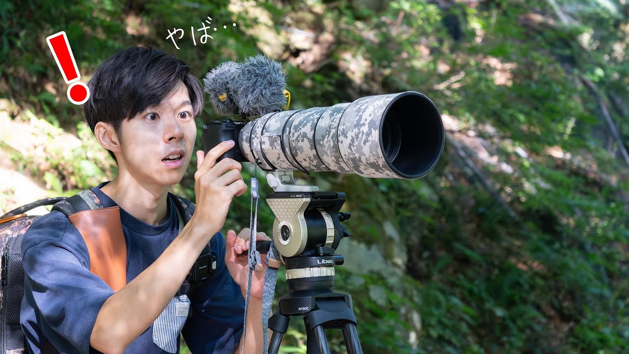 秋の野鳥撮影は絶対に〇〇を探せ！