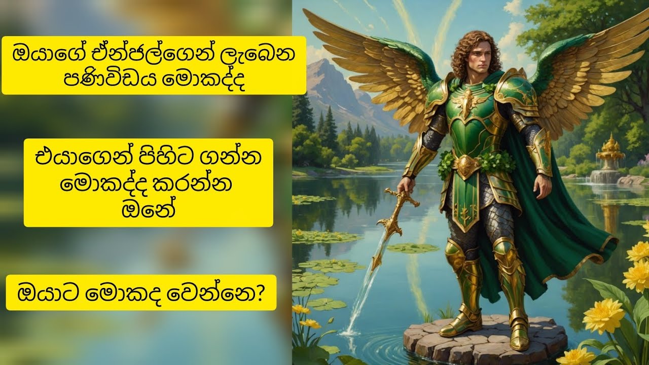 ❤️චන්ද්‍රග්‍රහනයට ඔයාගේ සුර දූතයා දෙන පණිවිඩයක්😱විශ්ව මාතාවගේ පණිවිඩයයි මේ❤️