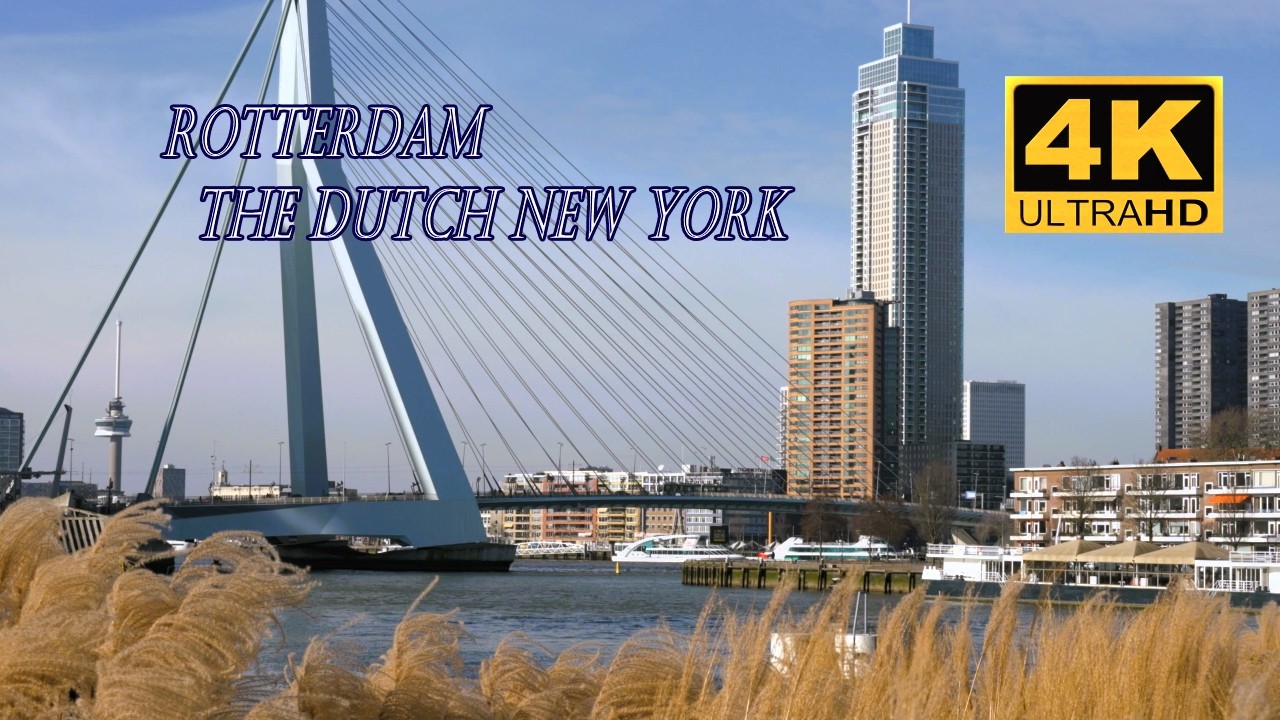 Rotterdam, auch bekannt als das „New York der Niederlande“ 🇳🇱