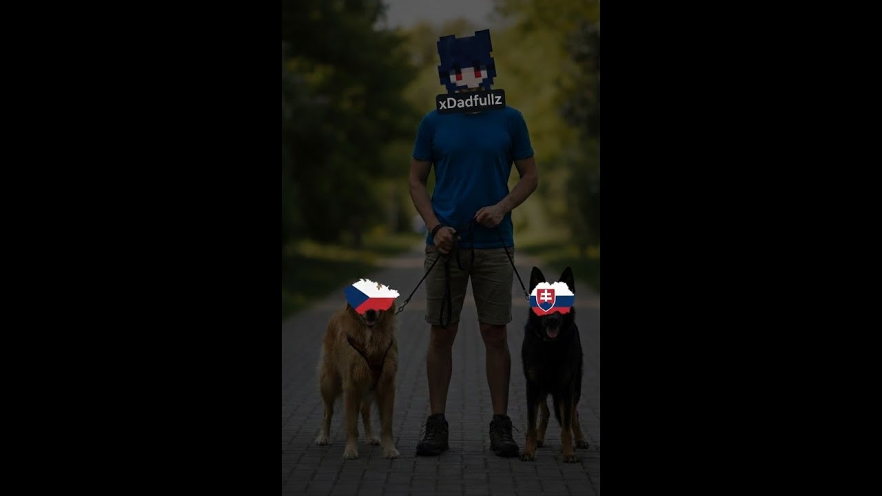 cz/sk players