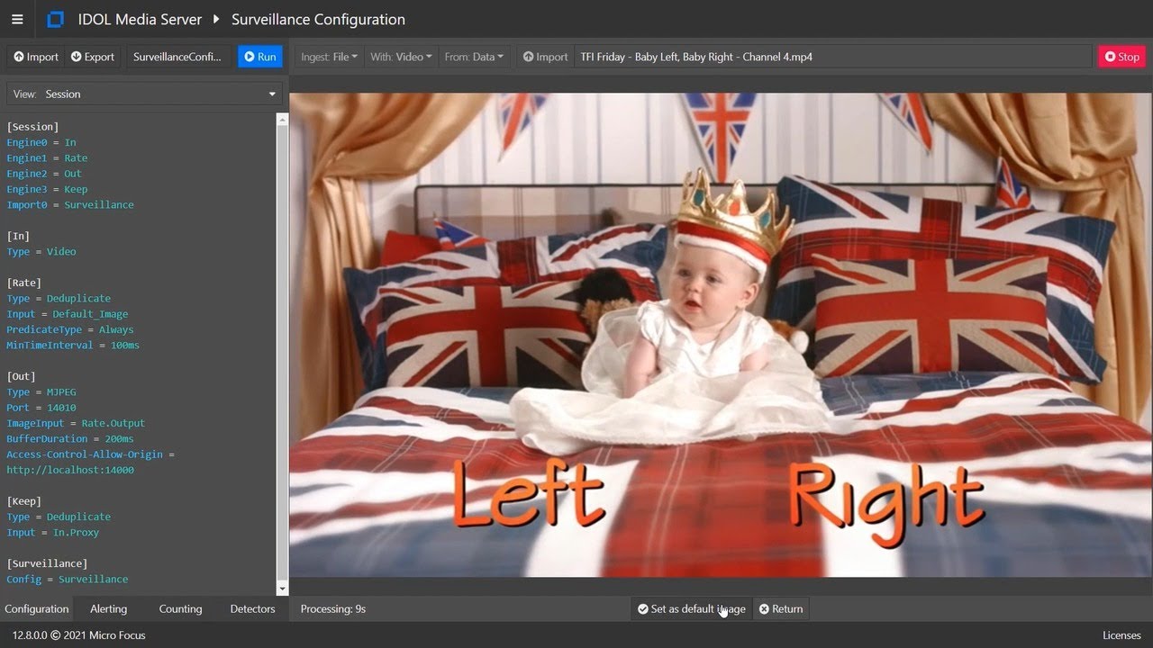 Video Feed Event Tracking with Micro Focus IDOL - Baby Left/ Baby Right