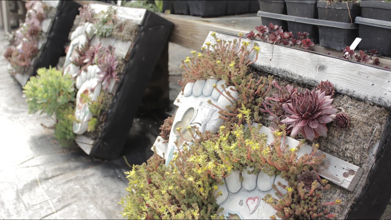 Vertical Wall Pallet Garden Planter: Urbans Greenhouse
