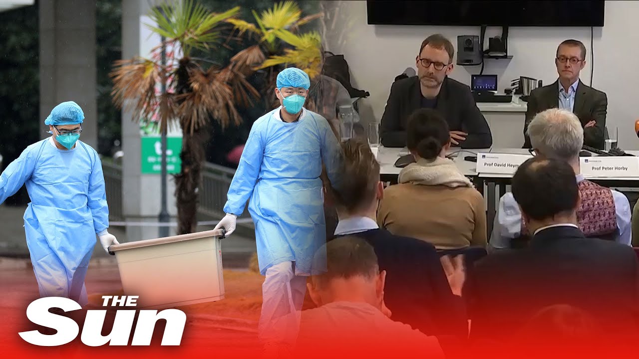 Experts reveal all they know about China's Wuhan coronavirus outbreak