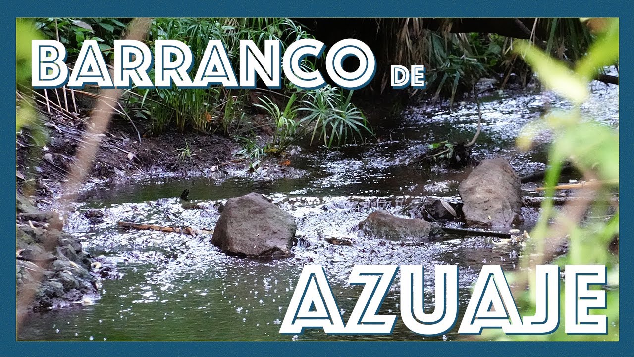 Senderismo por el Barranco de Azuaje