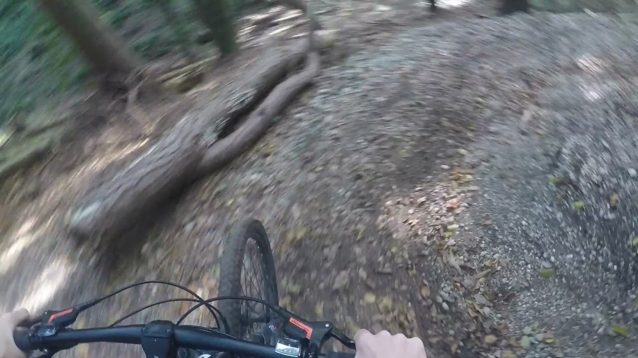 BIKEN im Wald mit Freund/JPTS Biker Crew