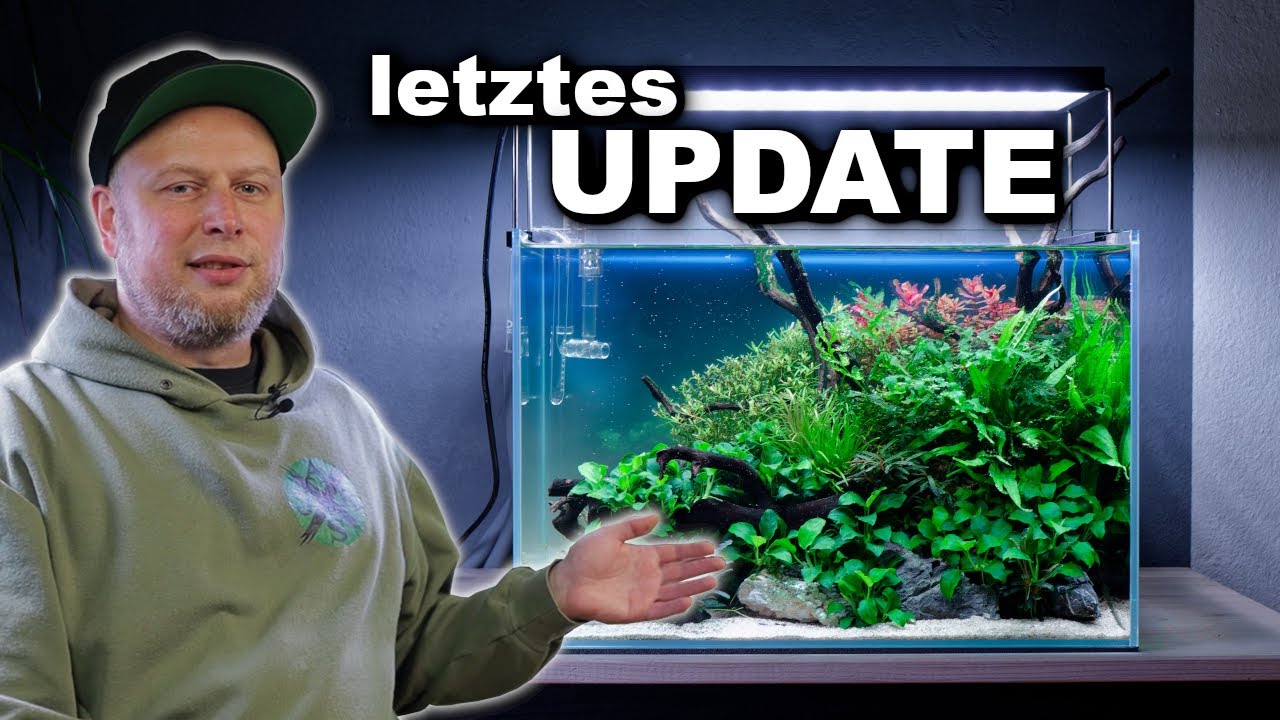 45p NATURE AQUARIUM letztes Update nach EINEM JAHR Laufzeit | JR Aquascaping