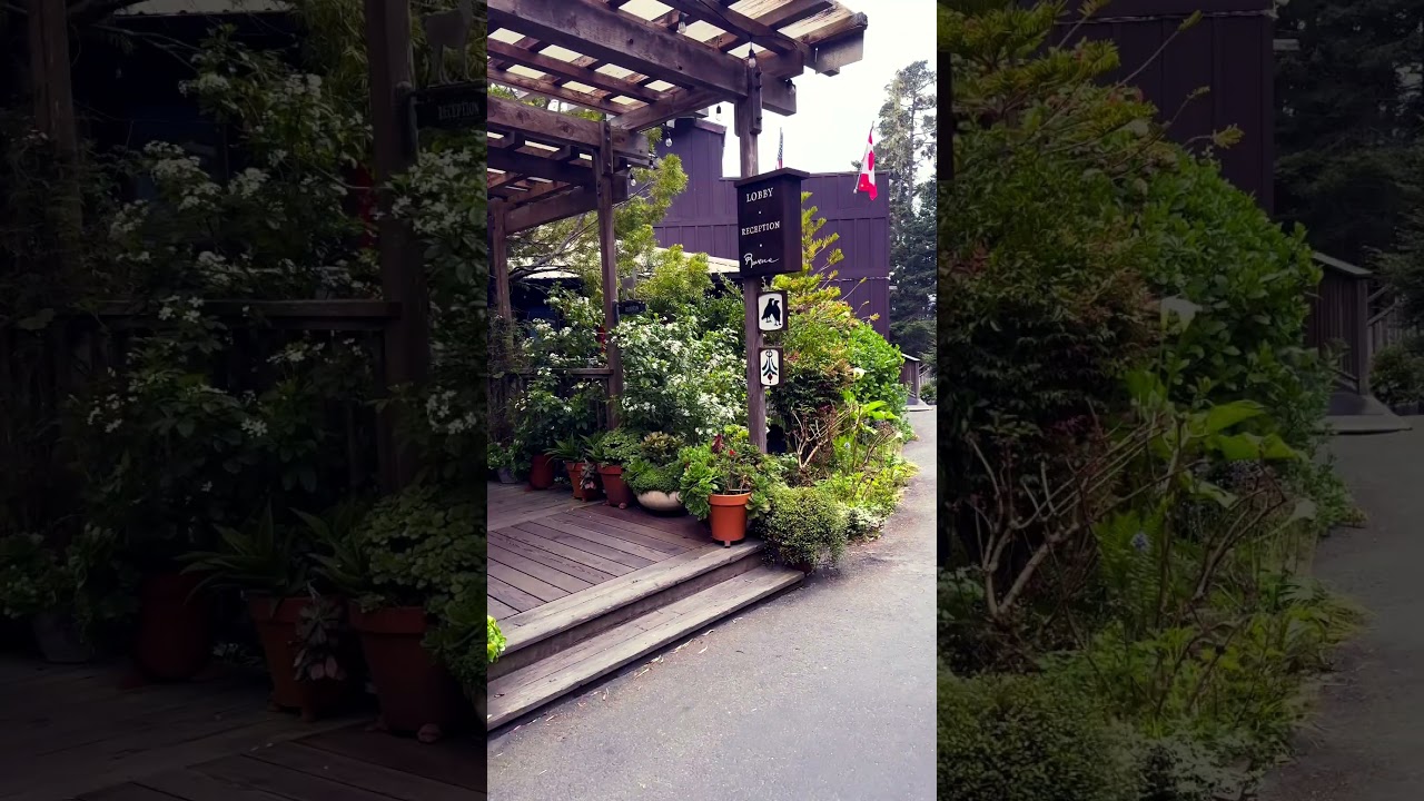 #video #real #garding  #pueblo #trabajo #flowers