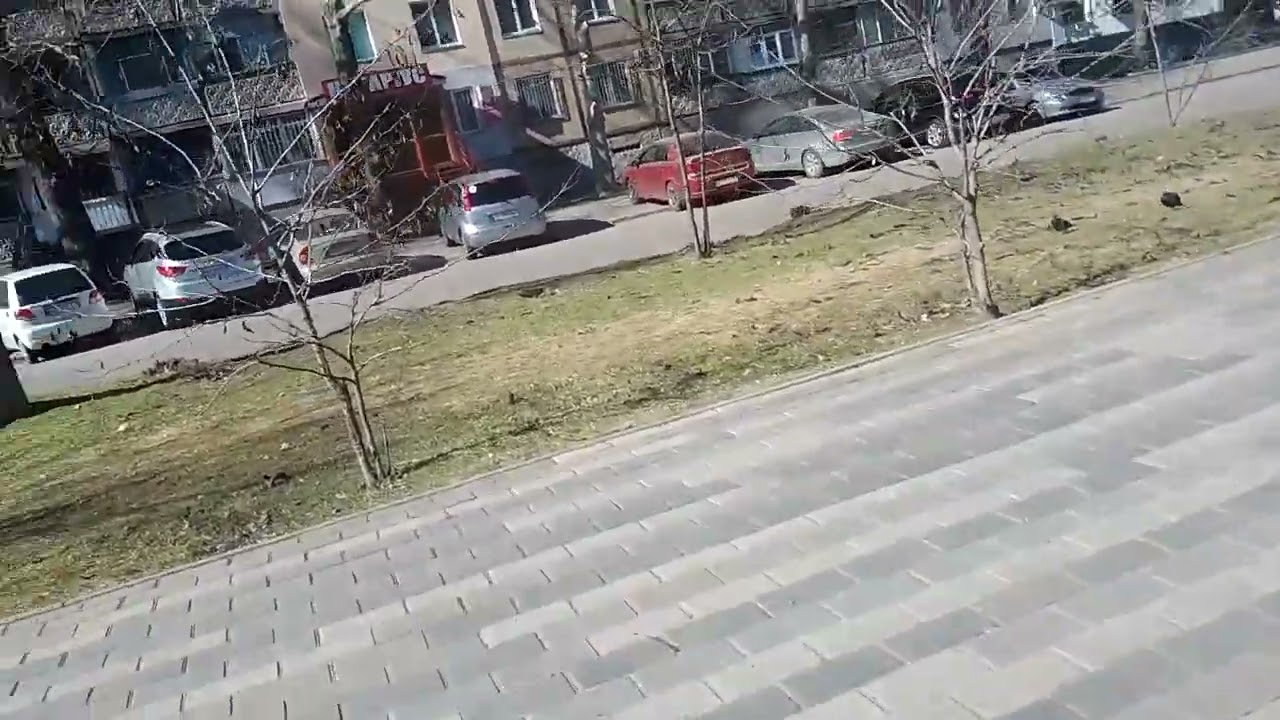 11 марта 2026 г.