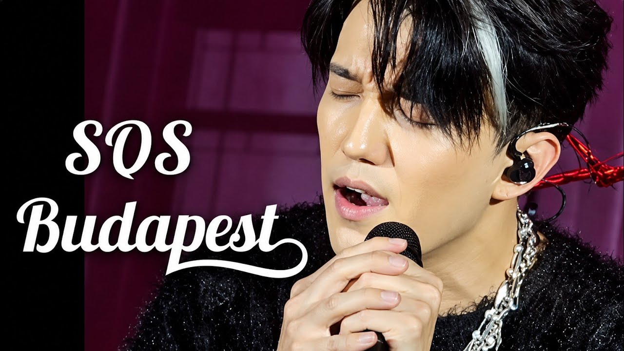 SOS - Budapest 4.05.24 Dimash (fancam)