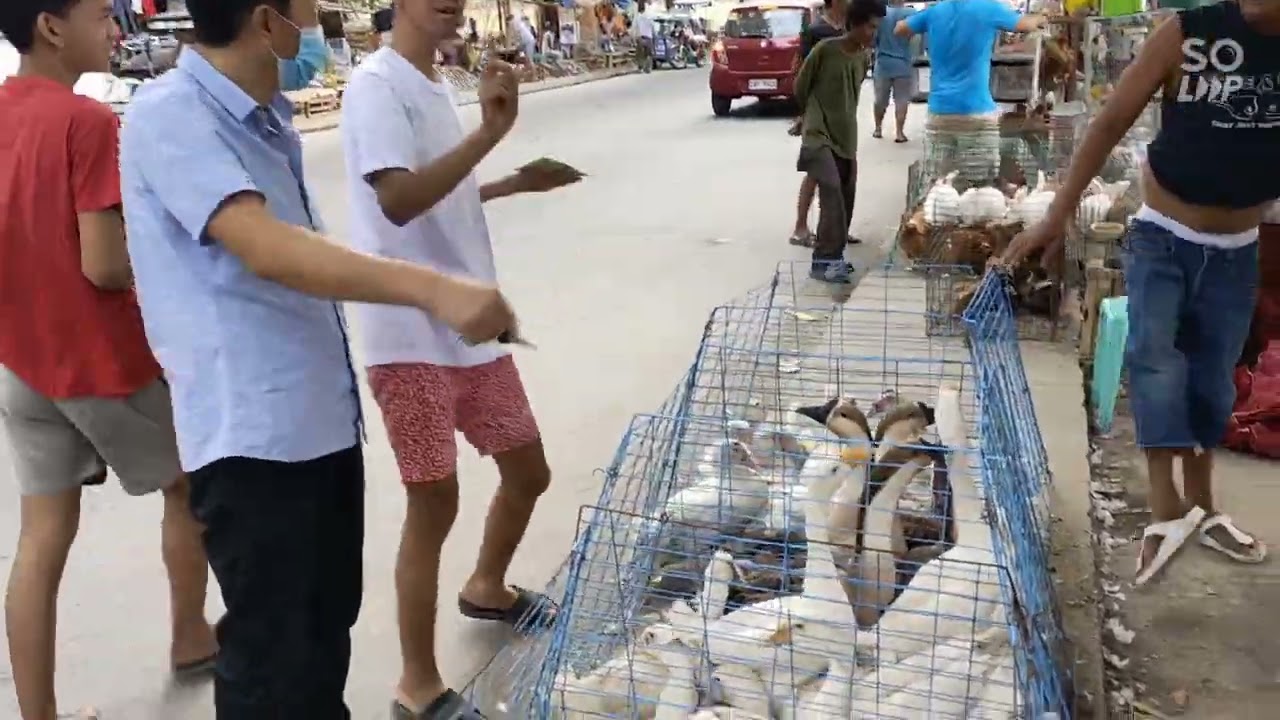 DAMING BANTAM SA ANGELES