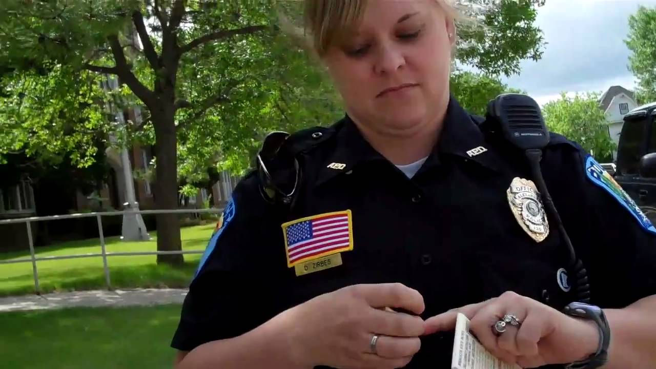 Lion News: Dealing With Thugs Who Have Badges & Guns In Alexandria MN 06-09-10