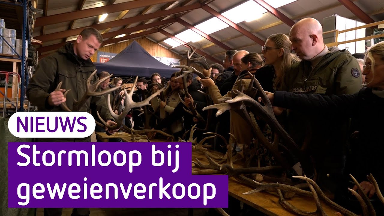 Iedereen wil het gewei van een edelhert kopen