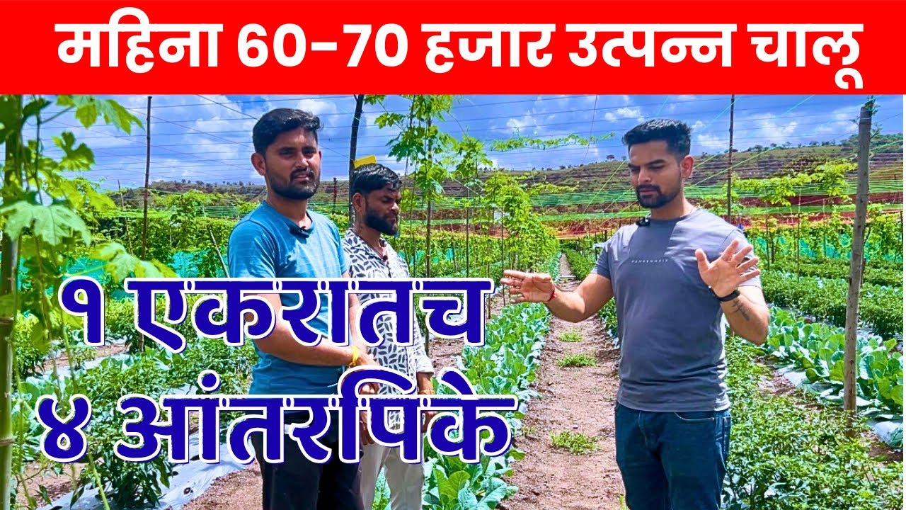 नोकरी सोडून शेती! | 21 वर्षांचा तरुण 1 एकरात 4 पिके घेऊन कमवतोय 70,000/महिना | Pragatshil Sheti