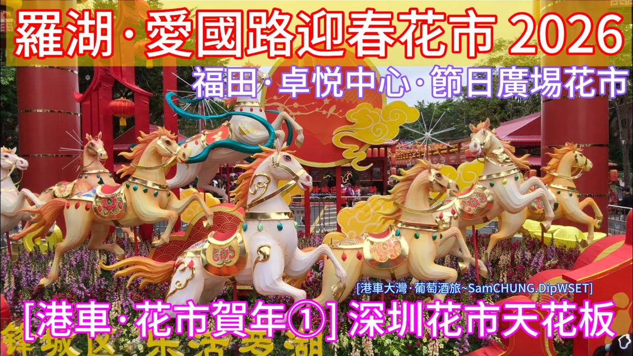[港車·花市賀年①] 愛國路迎春花市·福田卓悦中心花市 深圳花市的天花板。深圳最長花市 最多·最全·最美·最鮮「#港車大灣S26012」
