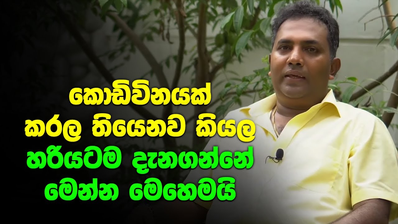 කොඩිවිනයක් කරල තියෙනව කියල හරියටම දැනගන්නේ මෙන්න මෙහෙමයි