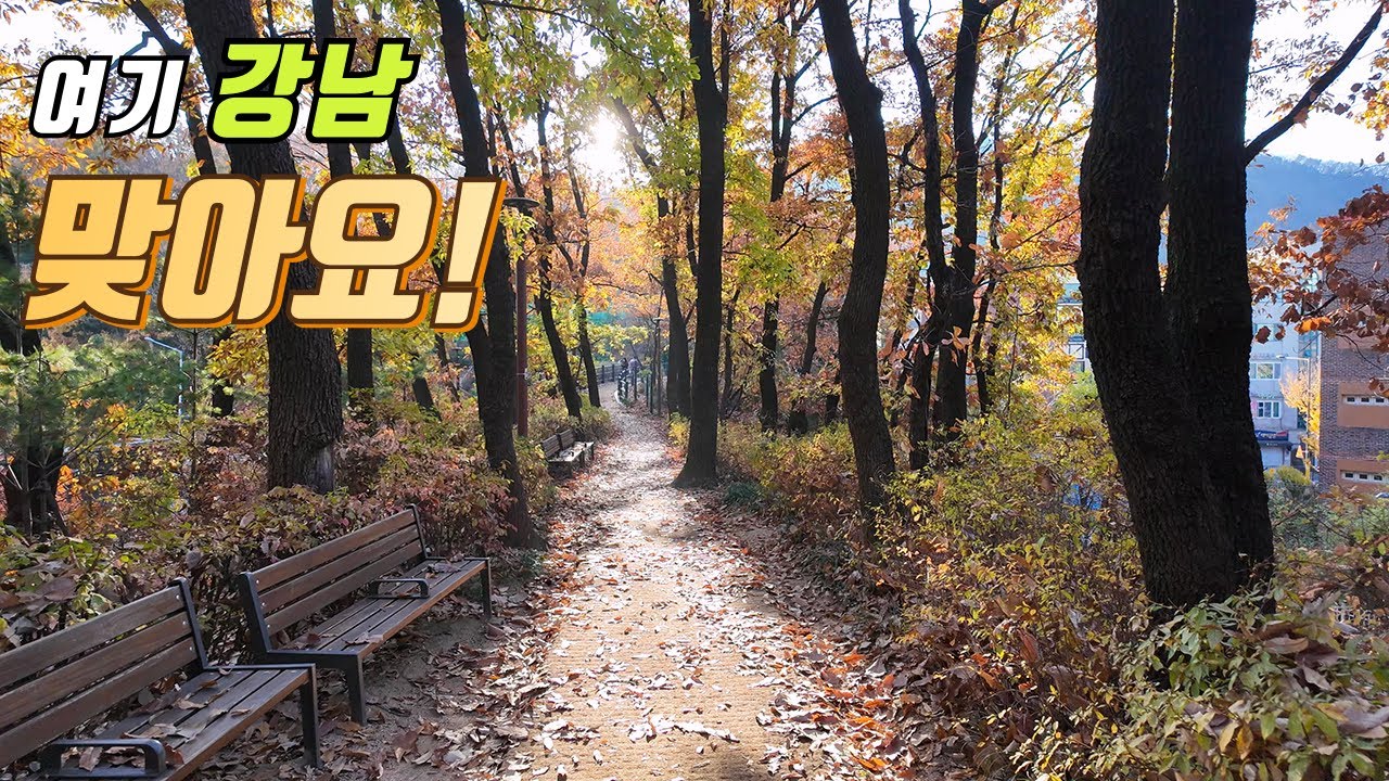 지하철역에서 시작하는 강남 둘레길, 둘레숲길을 걸어요 | 대중교통 당일치기 | 트레킹 코스