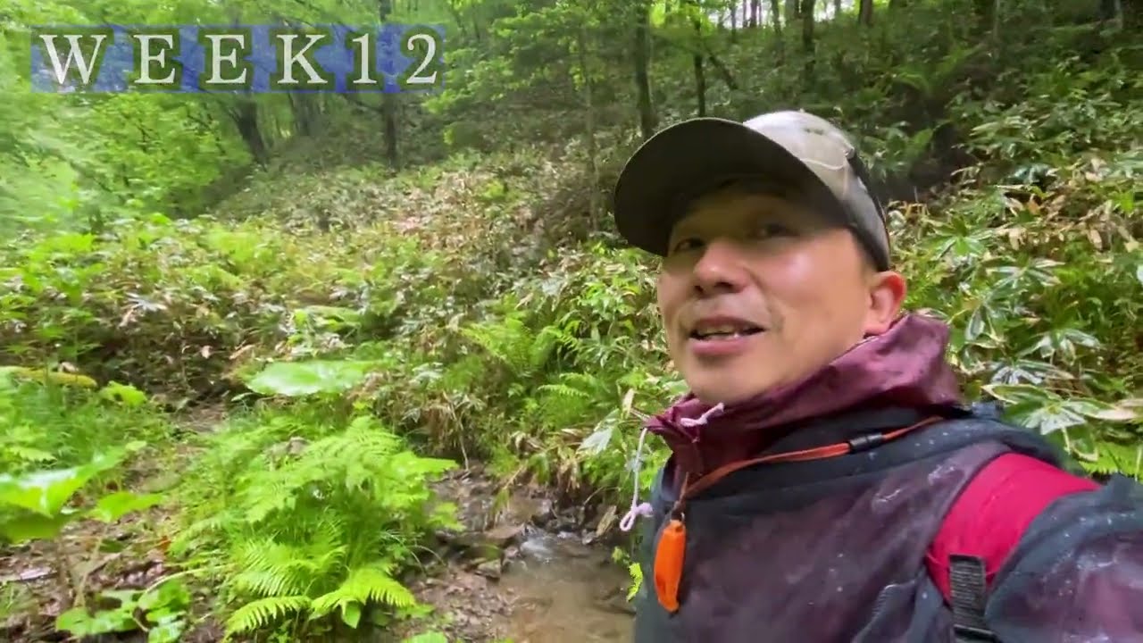 【S6】WEEK12　バッテリーの残量が無くなるまで探していたら、最後にいい場所に当たる。＃化石発掘＃恐竜＃むかわ町穂別