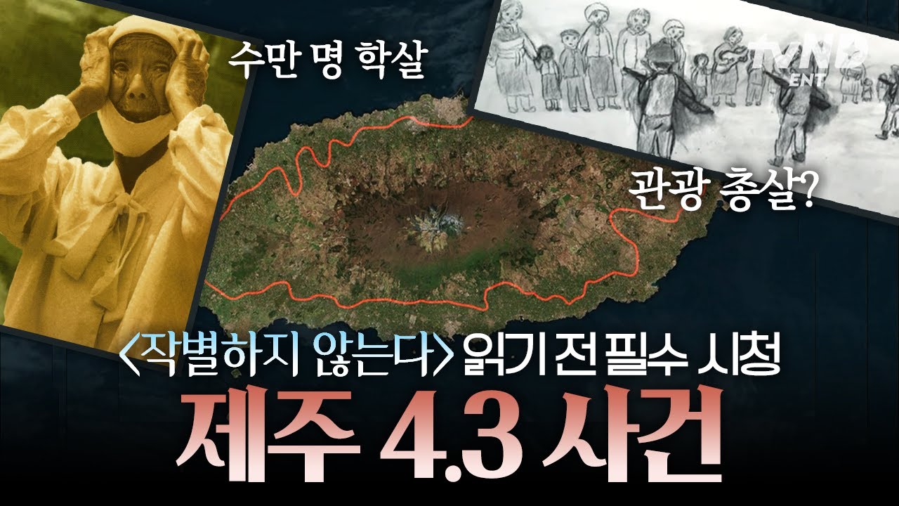 [#알쓸범잡] 한강 〈작별하지 않는다〉의 배경이 된 제주 4.3 사건📚️ 국가가 오랫동안 숨겨왔던 제주에서의 이야기🙏